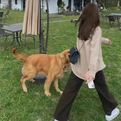 男神女神第一季